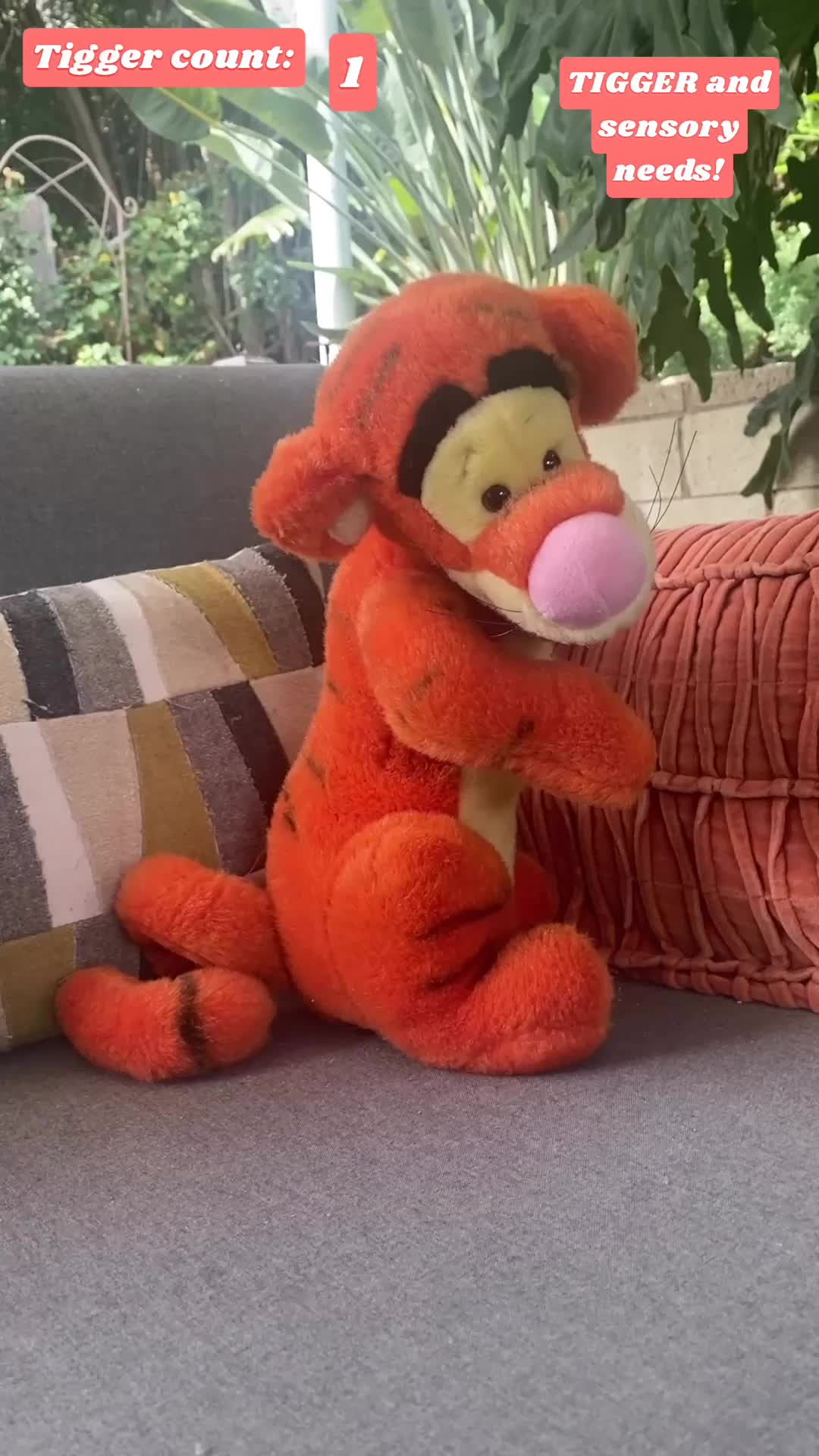 Video Diary – Sensory Tigger